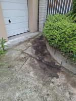 /album/fotogalerie/whatsapp-image-2025-06-26-at-17-36-45-4-jpeg/